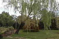 Arte Natura Отель *